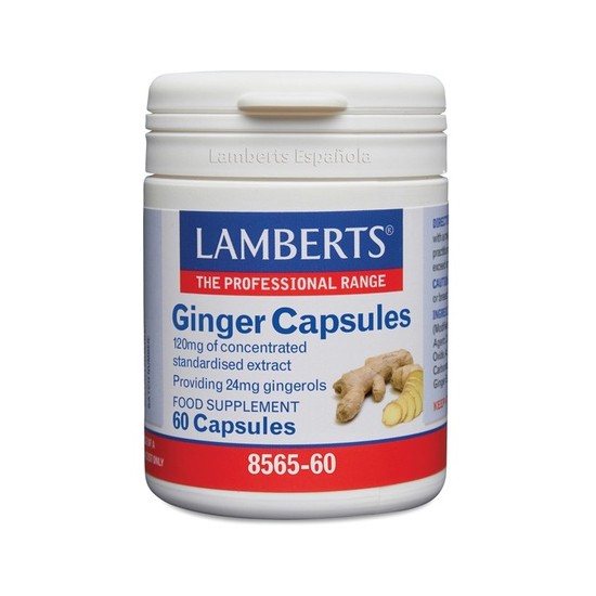 Lamberts Ginger 120mg 60...